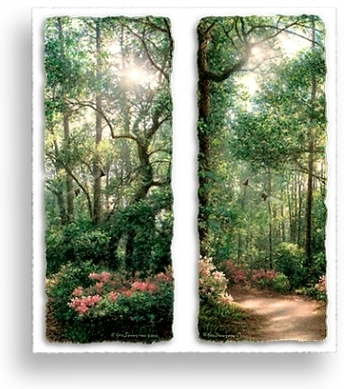 Ken Johnston > Spring Woods Spring Path
